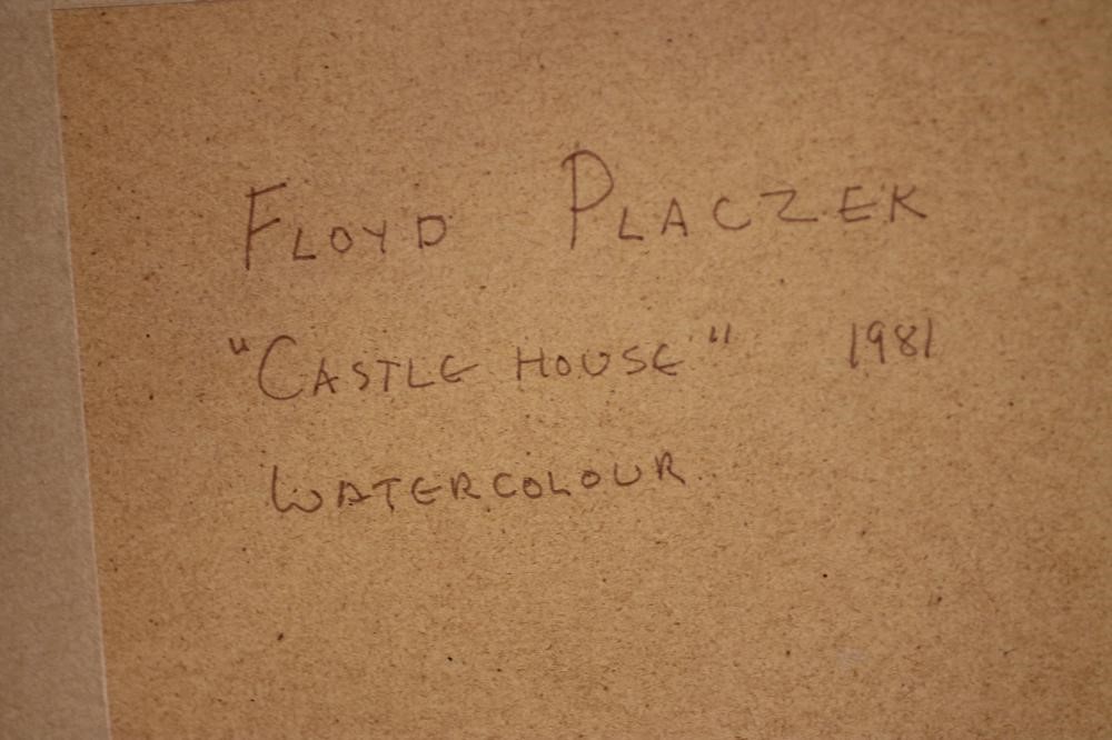 FLOYD PLACZEK (American Contemporary) Image