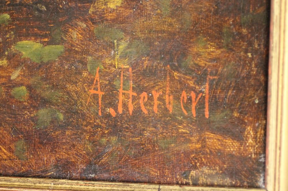 A HERBERT (?) (19th Century) Image