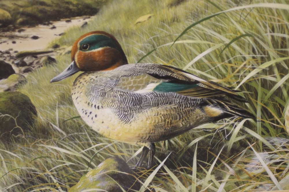 ‡STEVEN TOWNSEND (b.1955) Image