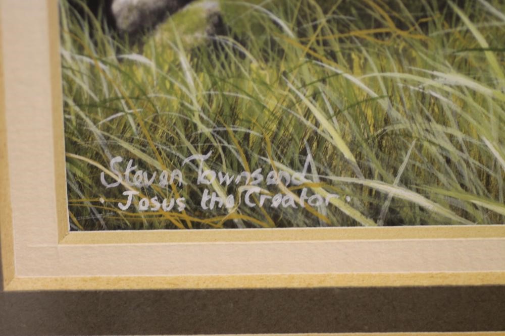 ‡STEVEN TOWNSEND (b.1955) Image