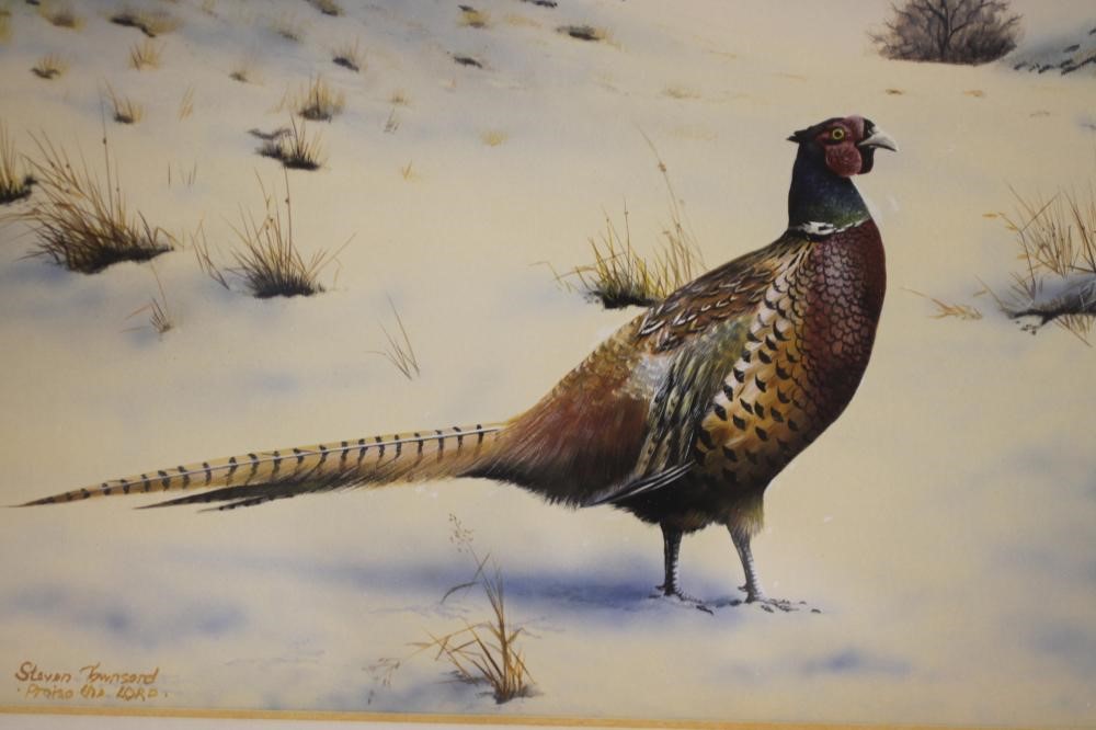 ‡STEVEN TOWNSEND (b.1955) Image