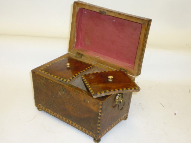 A GEORGIAN YEW WOOD TEA CADDY Image