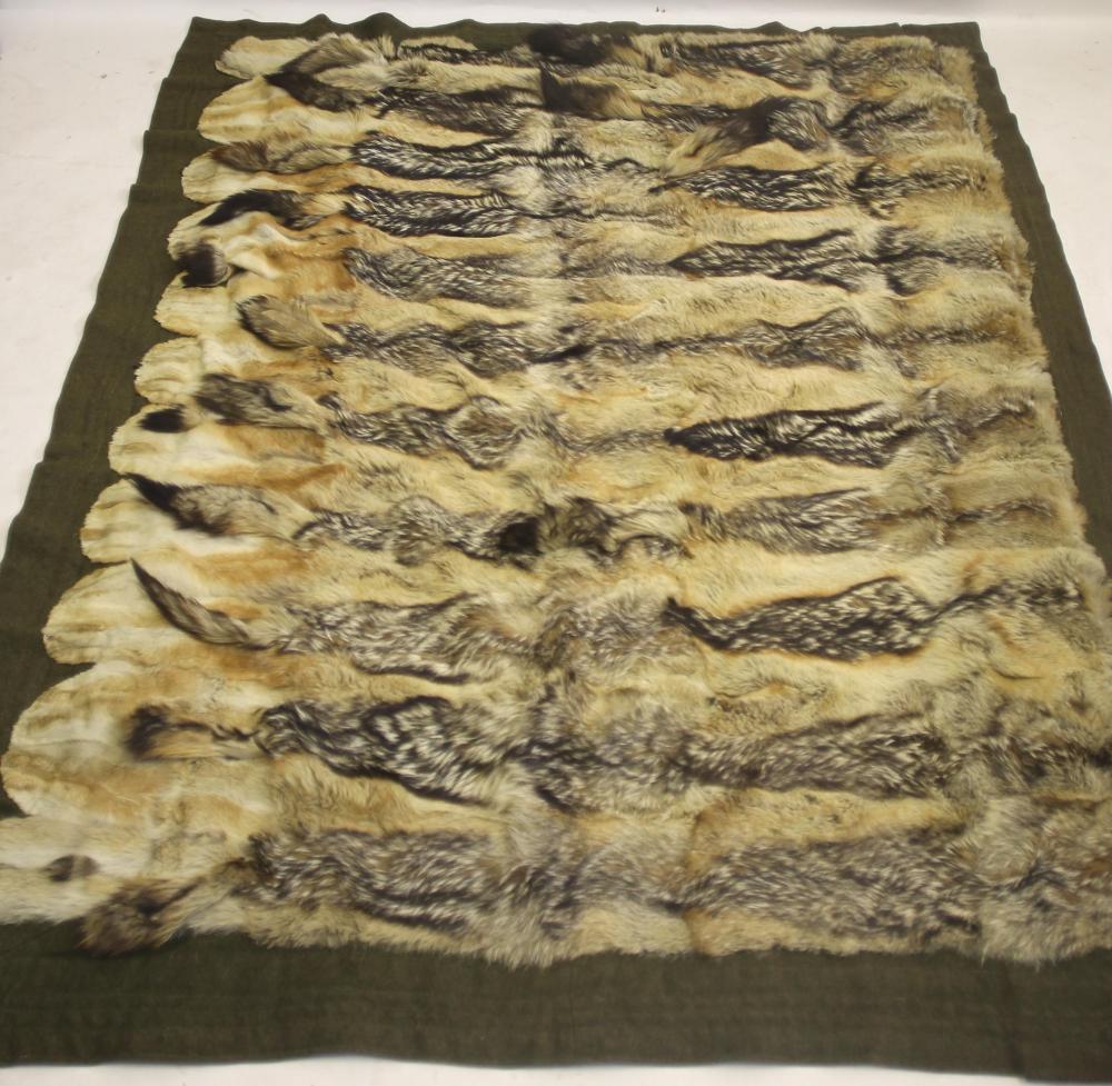 A COYOTE SKIN THROW Image