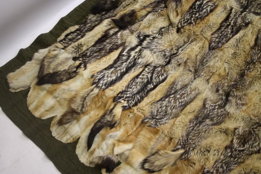 A COYOTE SKIN THROW Image