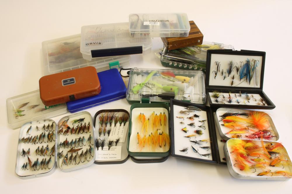 A QUANTITY OF SALMON Image