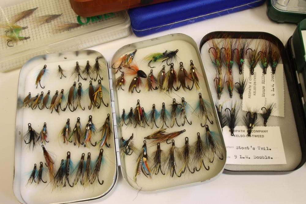 A QUANTITY OF SALMON Image