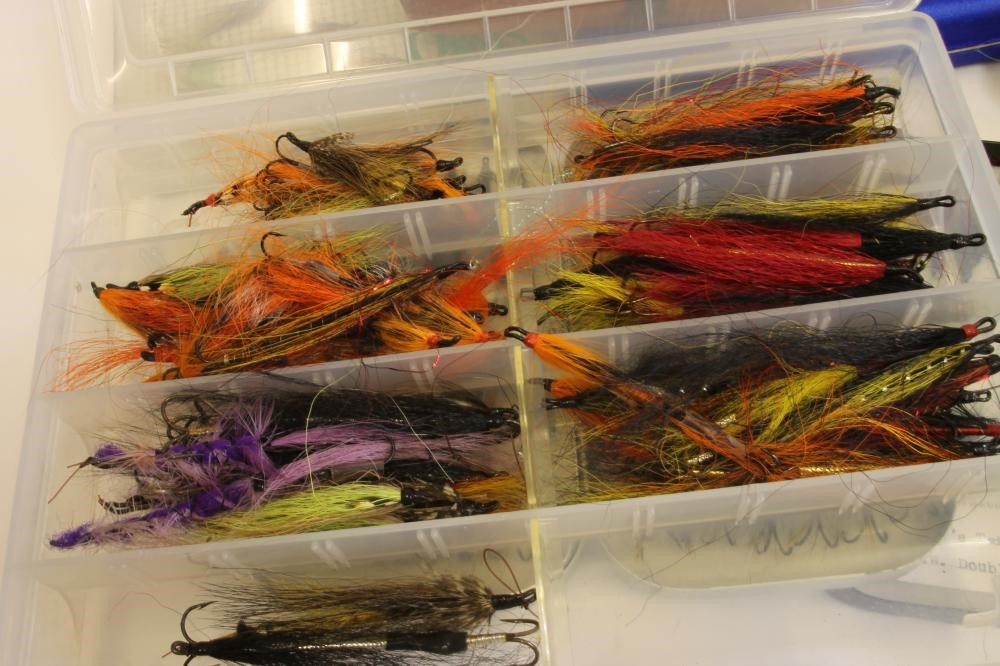 A QUANTITY OF SALMON Image