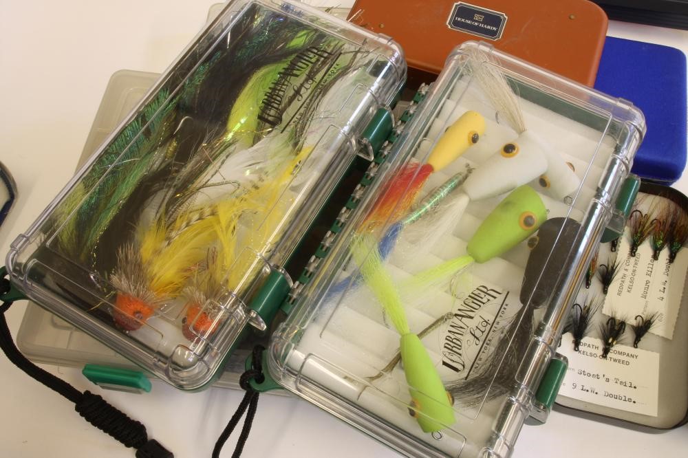 A QUANTITY OF SALMON Image