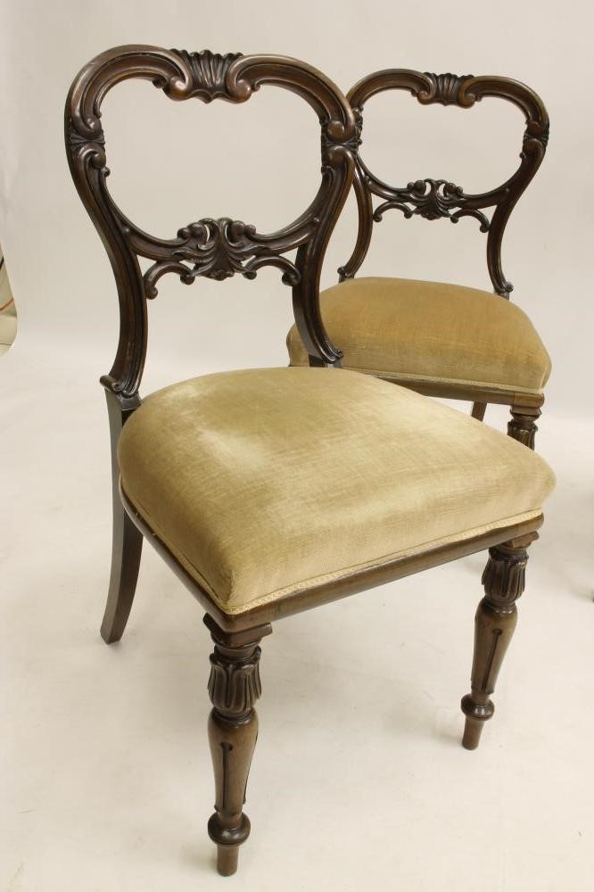 A SET OF FOUR WILLIAM IV ROSEWOOD DINING CHAIRS of balloon back form Image