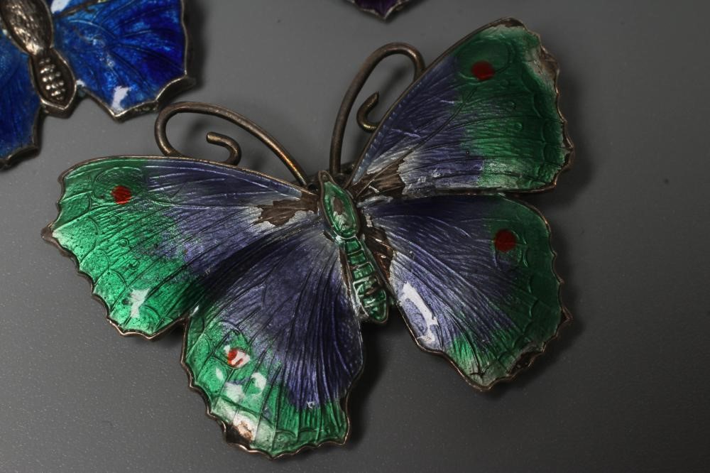 THREE SILVER AND ENAMEL BUTTERFLY BROOCHES comprising one with lilac and green wings, 1 3/4" span, a Image