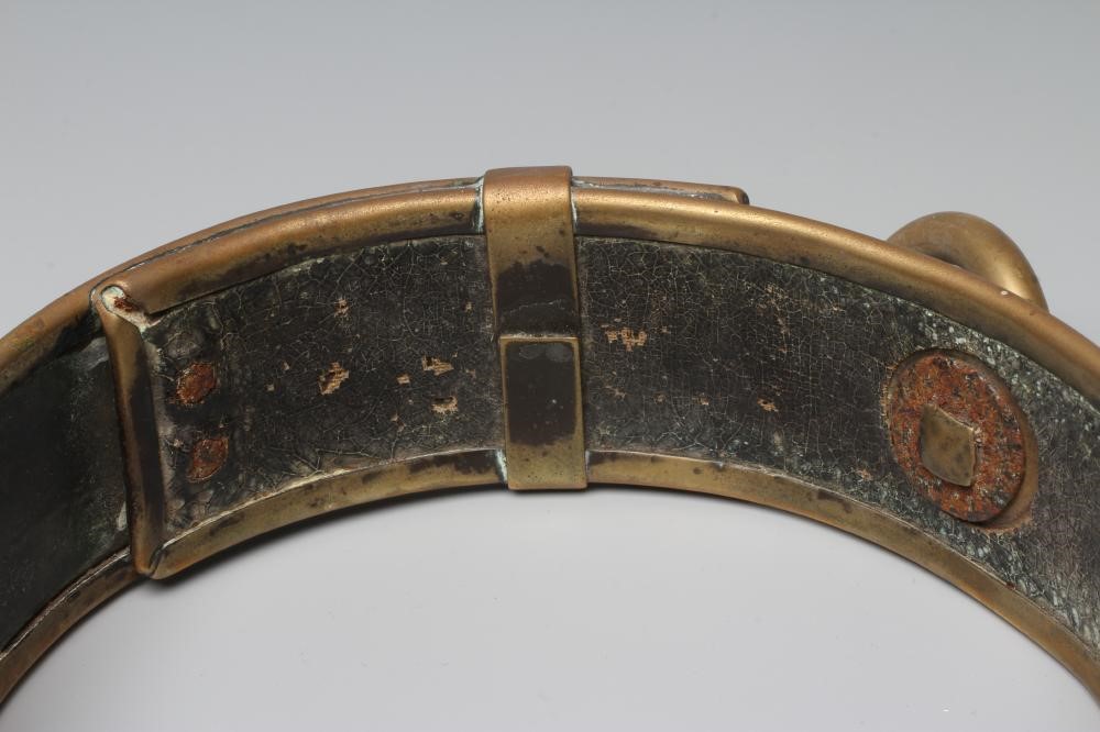 A LARGE 19TH CENTURY BRASS DOG COLLAR, un-named, plain circular with swivel loop and Victorian brass Image