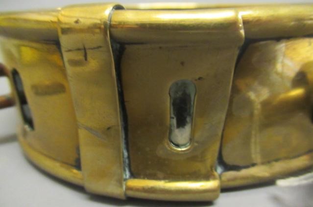 A LARGE 19TH CENTURY BRASS DOG COLLAR, un-named, plain circular with swivel loop and Victorian brass Image