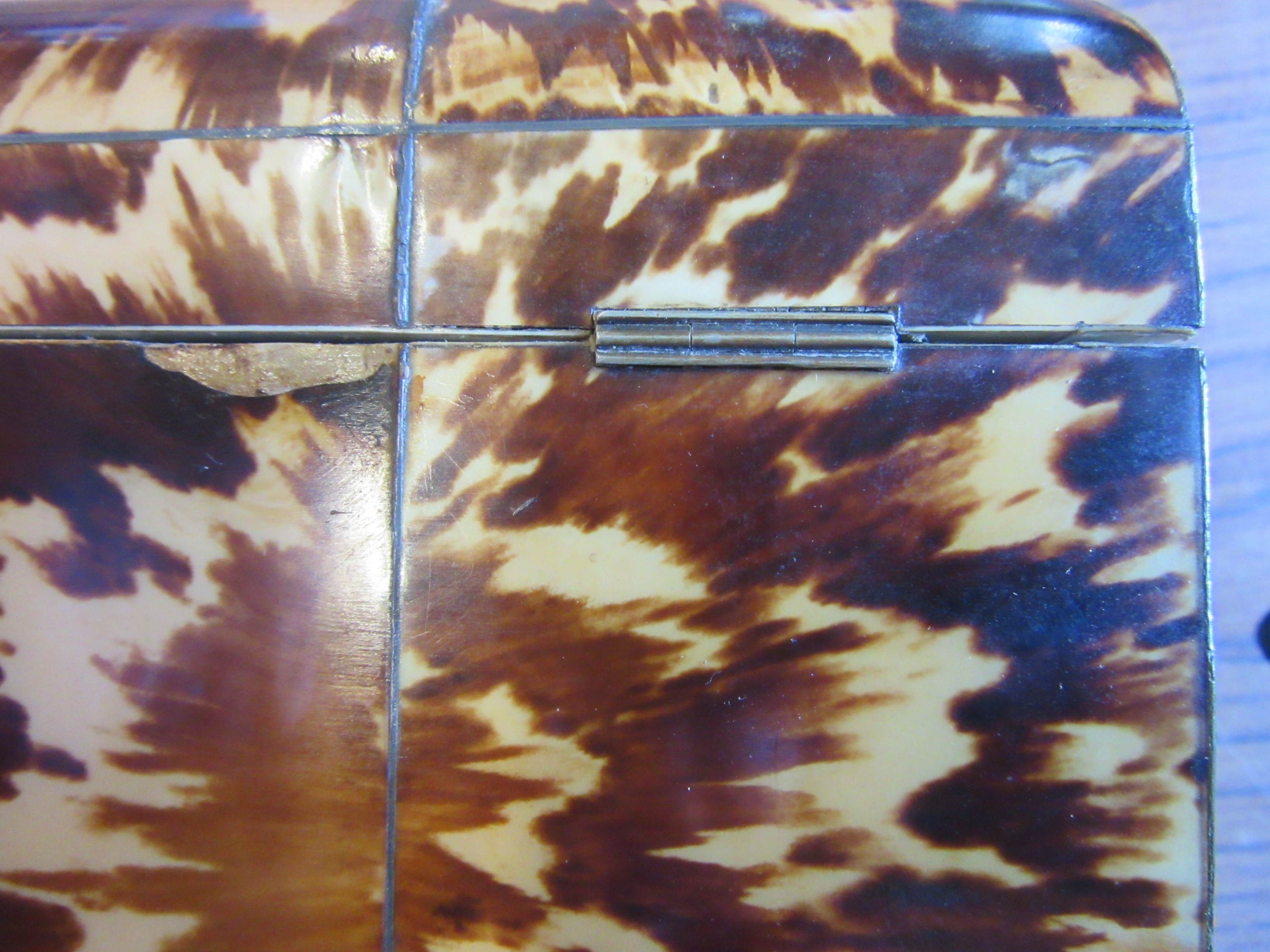 A REGENCY TORTOISESHELL SERPENTINE TEA CADDY with wire stringing and metal escutcheon and vacant Image