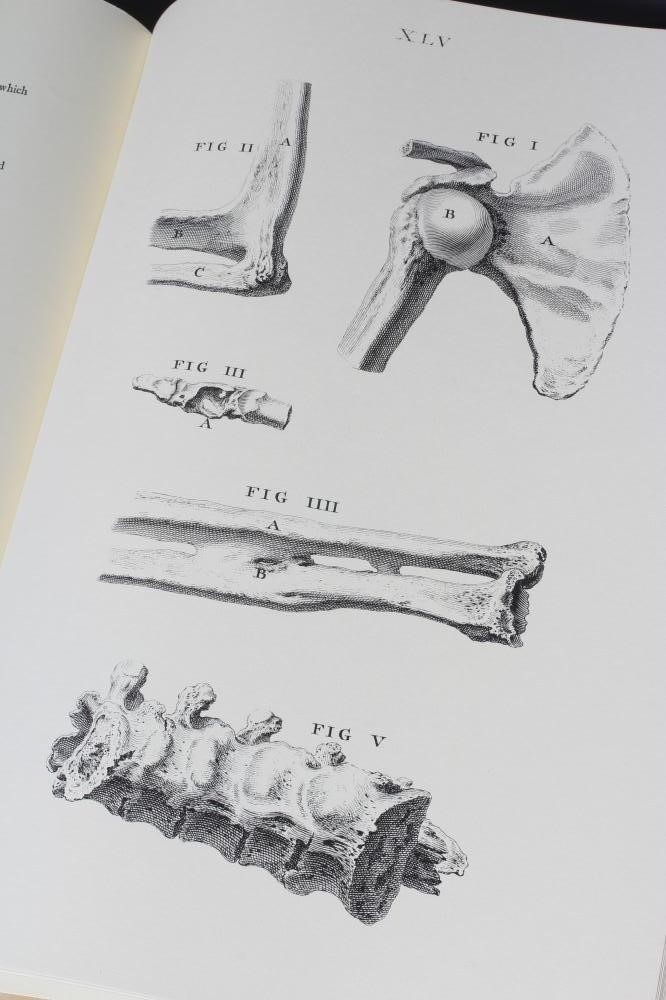 WILLIAM CHESELDEN, Osteographia, facsimile, no date, The Scholar Press, Ilkley, one of 500 copies, Image