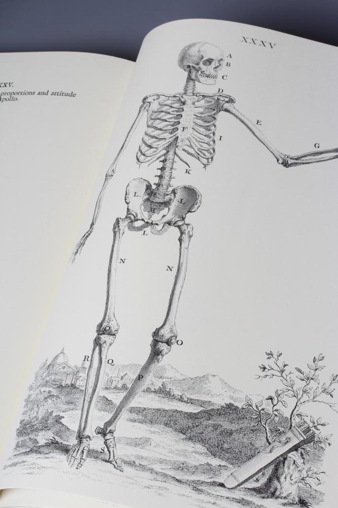 WILLIAM CHESELDEN Image