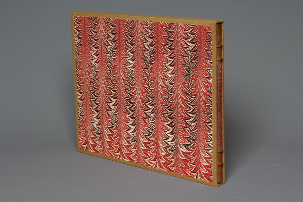 TED HUGHES: Cave Birds, 1978, Viking Press, in slip case Image