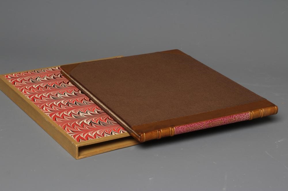 TED HUGHES: Cave Birds, 1978, Viking Press, in slip case Image