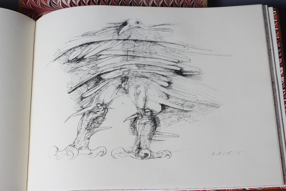 TED HUGHES: Cave Birds, 1978, Viking Press, in slip case Image