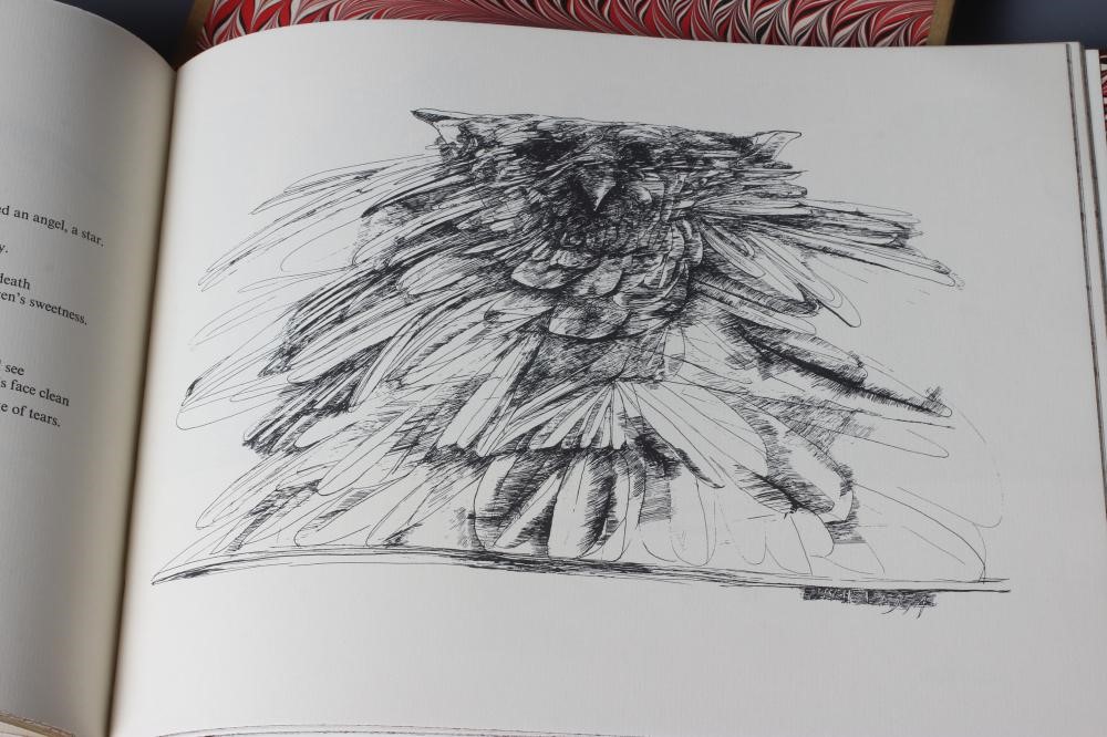 TED HUGHES: Cave Birds, 1978, Viking Press, in slip case Image