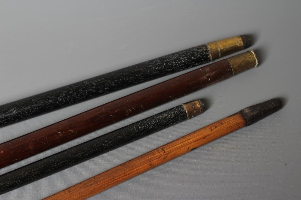 FOUR EARLY 20TH CENTURY WALKING STICKS AND CANES Image