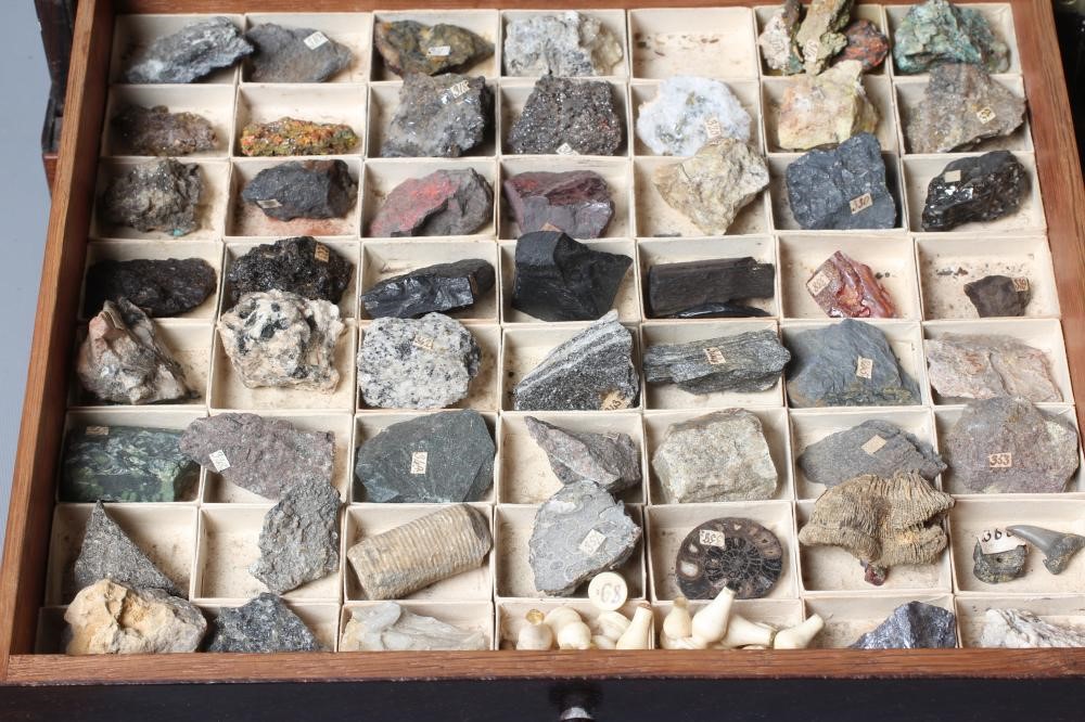 A 19TH CENTURY ROSEWOOD SIX DRAWER GEOLOGICAL CABINET Image