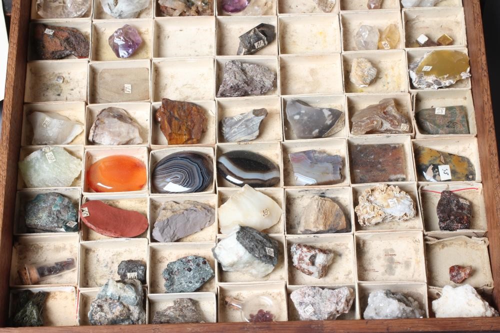 A 19TH CENTURY ROSEWOOD SIX DRAWER GEOLOGICAL CABINET Image