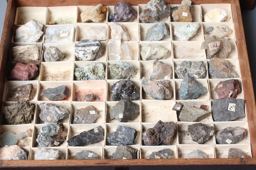 A 19TH CENTURY ROSEWOOD SIX DRAWER GEOLOGICAL CABINET Image