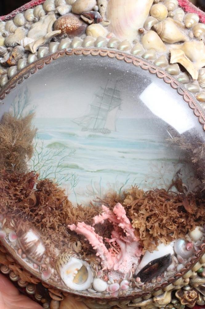 A LATE VICTORIAN SHELLWORK 'STARFISH' MARITIME DIORAMA, with central print depicting a clipper at Image