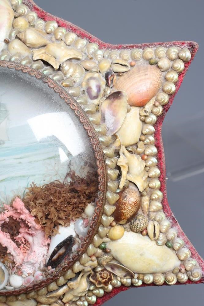 A LATE VICTORIAN SHELLWORK 'STARFISH' MARITIME DIORAMA, with central print depicting a clipper at Image