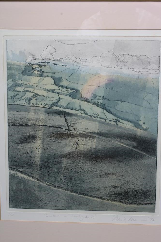 PIERS BROWNE (1942/49-2024) Curlews in Wensleydale, signed, A/P, inscribed with title and dated '74, Image