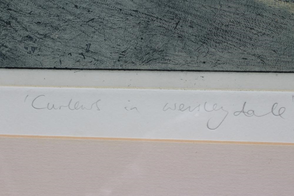 PIERS BROWNE (1942/49-2024) Curlews in Wensleydale, signed, A/P, inscribed with title and dated '74, Image