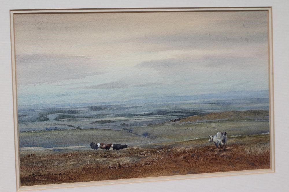 BRIAN IRVING (1931-2013) Cattle on the Moors, signed lower left, watercolour, 6" x 9 1/2", framed Image