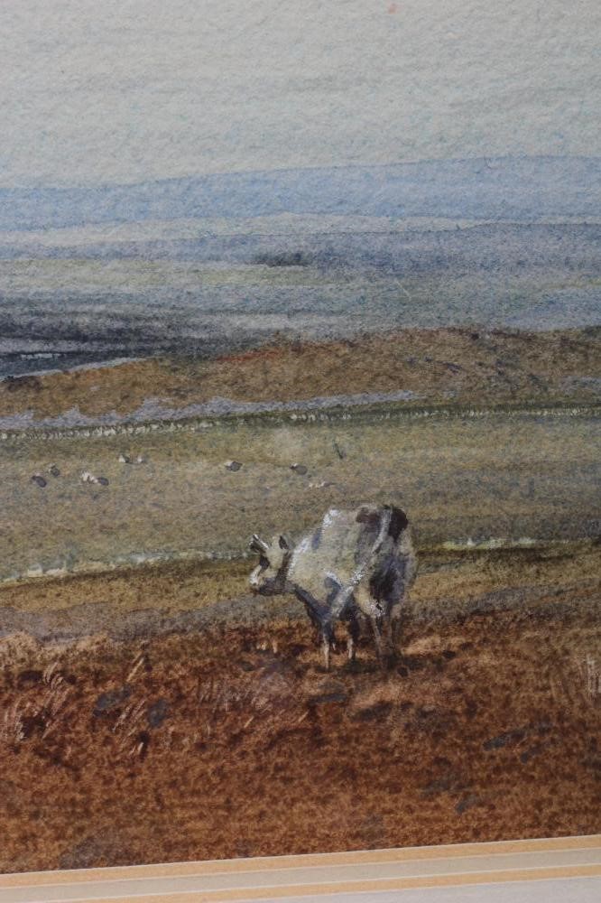 BRIAN IRVING (1931-2013) Cattle on the Moors, signed lower left, watercolour, 6" x 9 1/2", framed Image