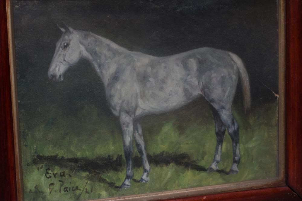 GEORGE THOMAS PAICE (1854-1925) Portrait of a Hunter 'Era', signed and inscribed with title, oil on Image