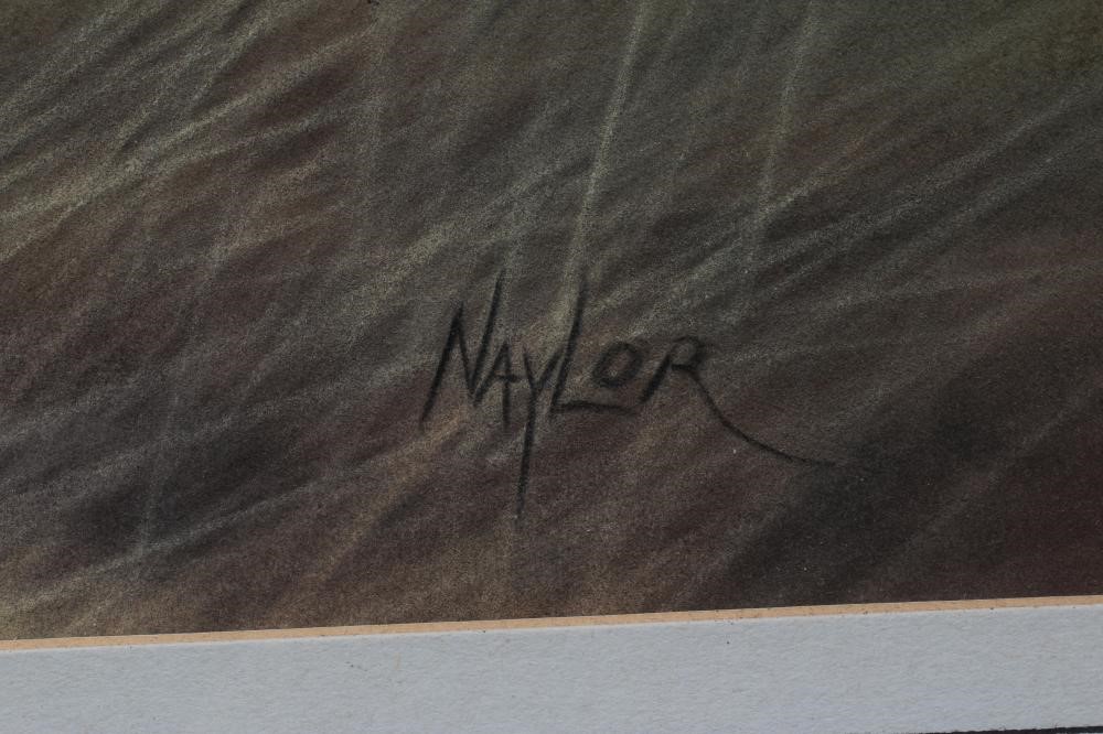 JOHN NAYLOR (b.1960) Canada Goose, signed lower right, pastel, 12 1/2" x 18 3/4", framed and glazed Image
