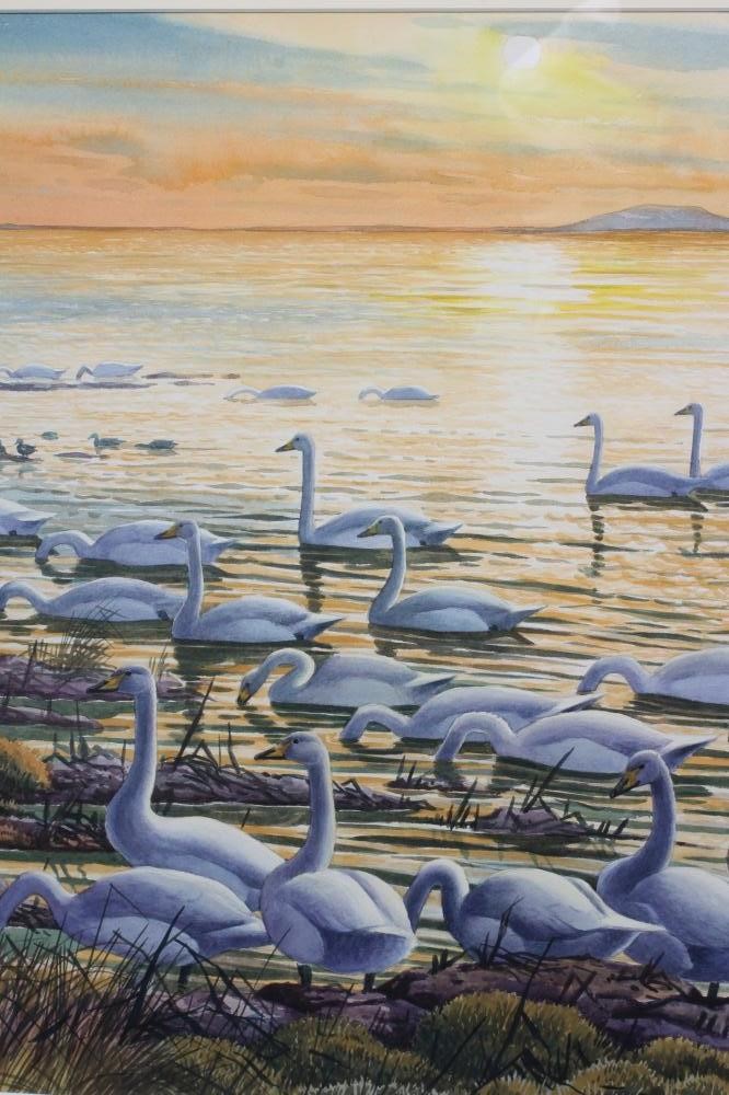 DAVID BINNS (1935-2020) Geese on a Shoreline, signed lower right and dated '76, watercolour, 20" x Image