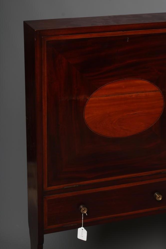 AN EDWARDIAN MAHOGANY COLLECTOR'S CABINET Image