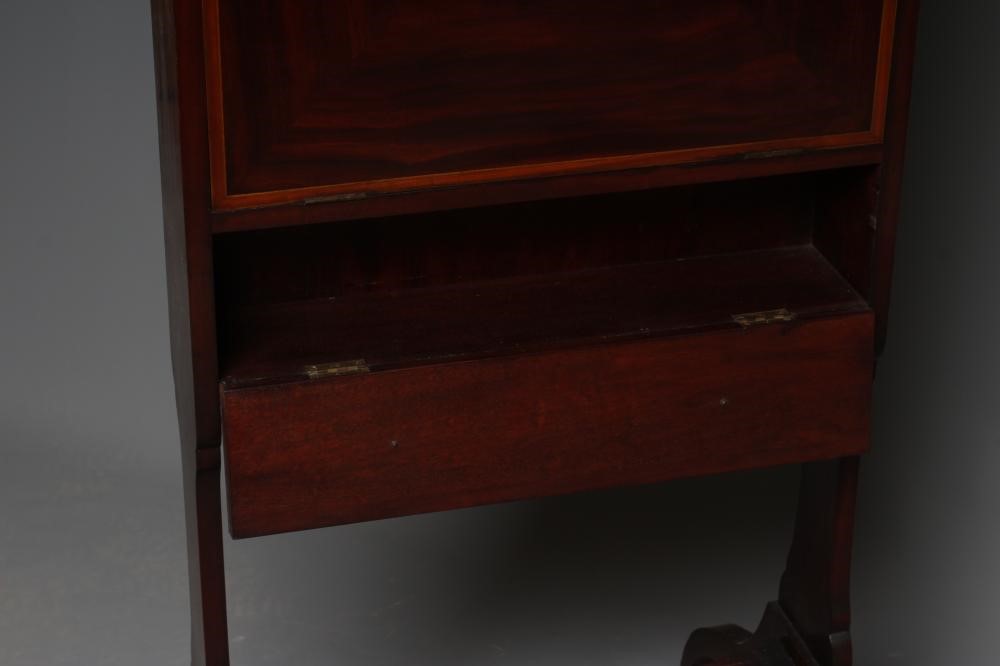 AN EDWARDIAN MAHOGANY COLLECTOR'S CABINET Image