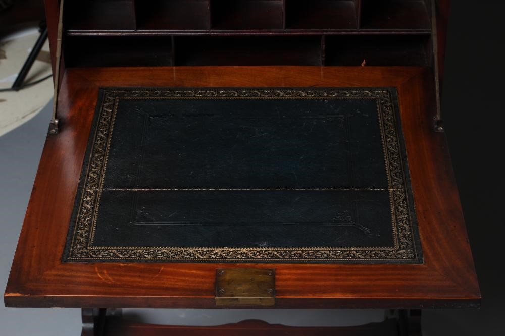 AN EDWARDIAN MAHOGANY COLLECTOR'S CABINET Image