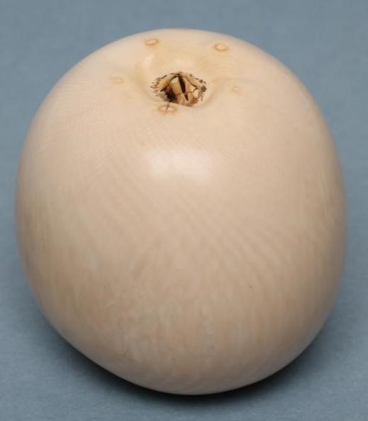 A JAPANESE IVORY APPLE Image