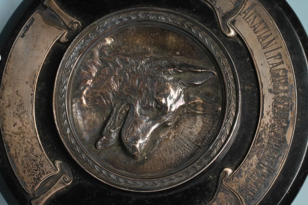 "THE ALSATION LEAGUE & CLUB OF GREAT BRITAIN" Image