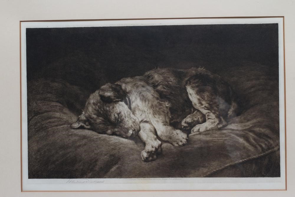 HERBERT THOMAS DICKSEE (1862-1942) Image