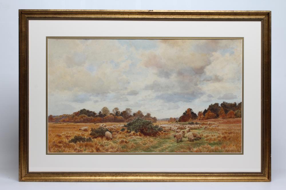 CYRIL WARD (1863-1935) Image