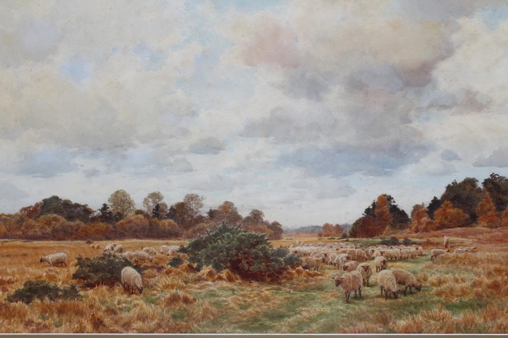 CYRIL WARD (1863-1935) Image