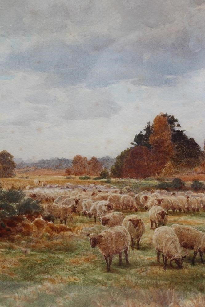 CYRIL WARD (1863-1935) Image