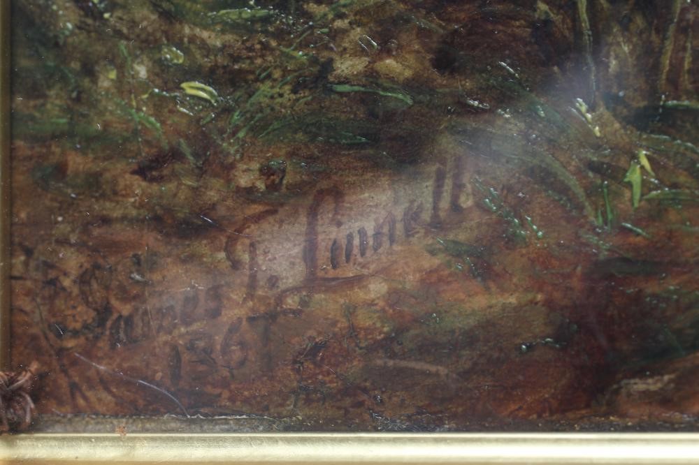 JAMES THOMAS LINNELL (1820-1905) Image