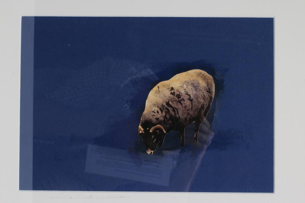 LILY GREENWOOD (Contemporary) Image