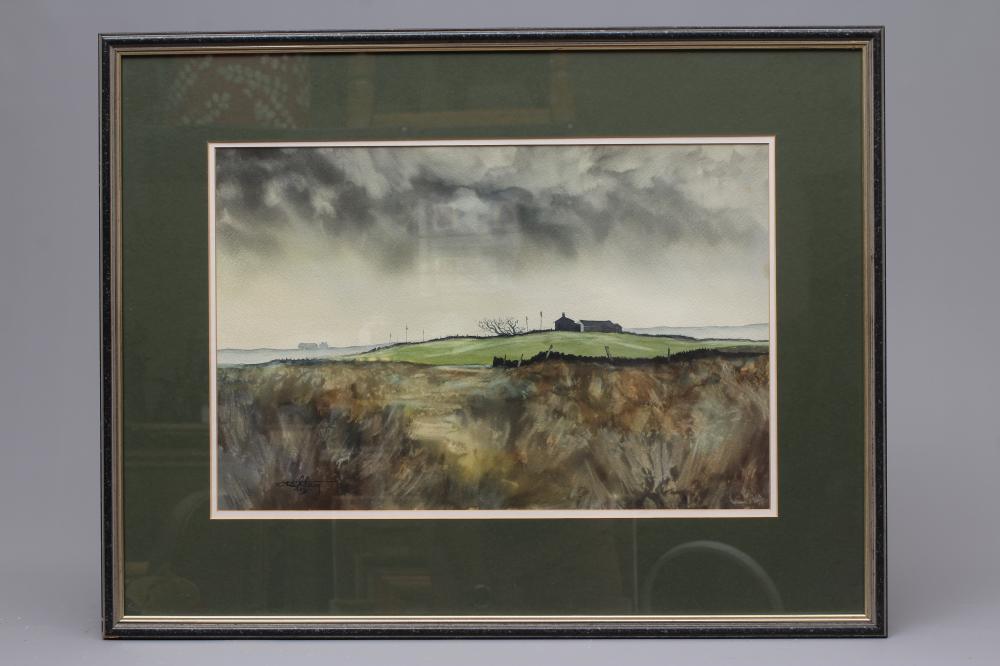 ASHLEY JACKSON (b.1940) Farm Buildings on the Yorkshire Moors, signed lower left, watercolour, 14" x Image