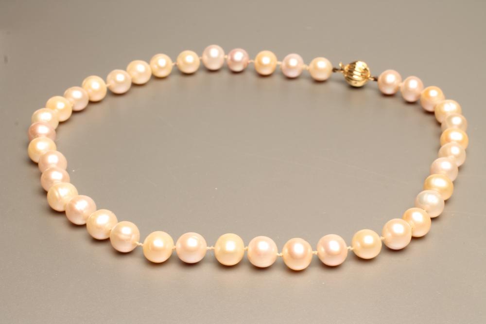 A SINGLE STRING OF CULTURED PEARLS Image