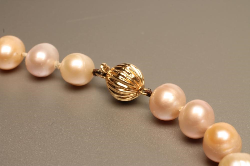 A SINGLE STRING OF CULTURED PEARLS Image